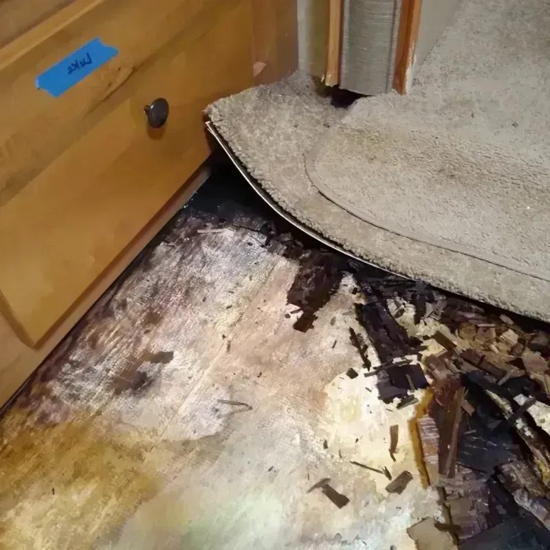 Wood Floor Water Damage in Berlin, NJ